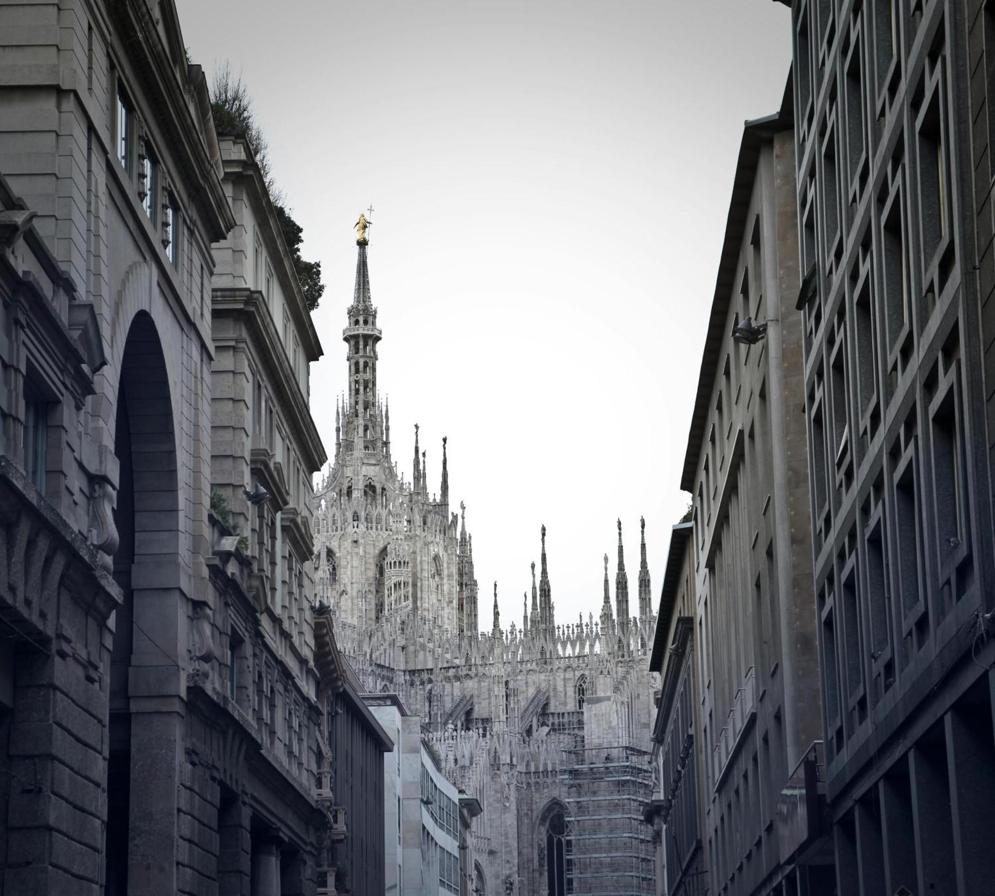 The White Jungle - San Babila Attic Milan