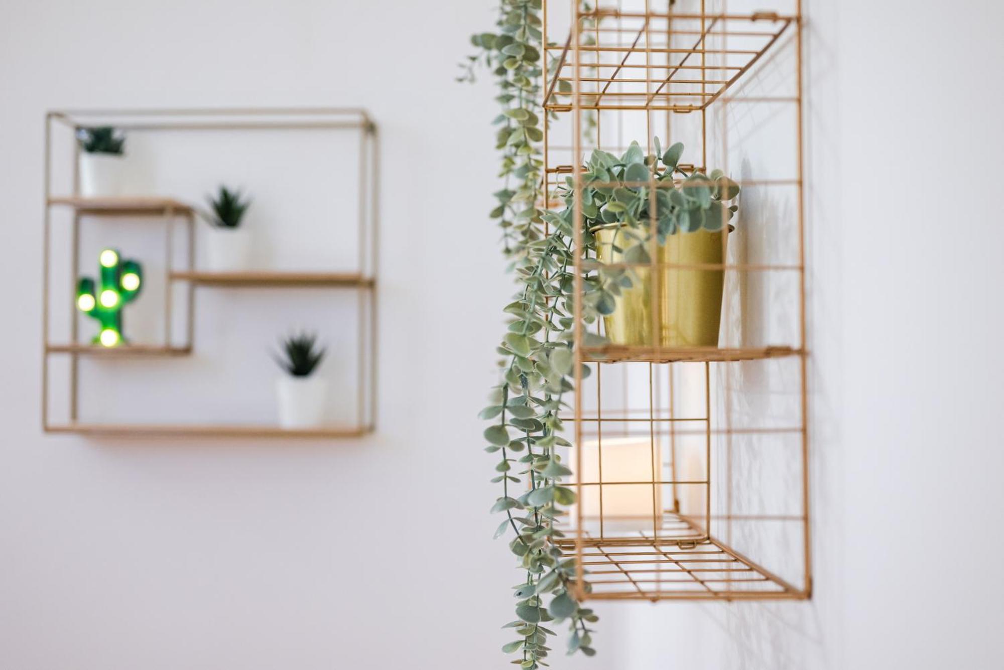 The White Jungle - San Babila Attic Apartment *